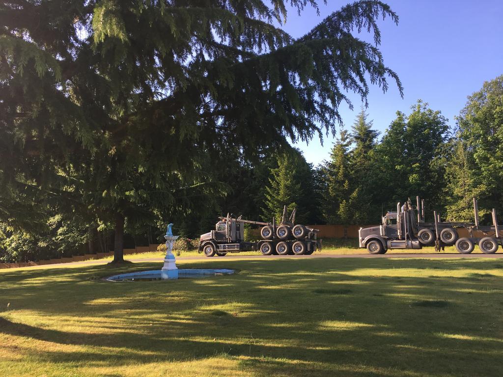 Fuller Lake Chemainus Motel المظهر الخارجي الصورة