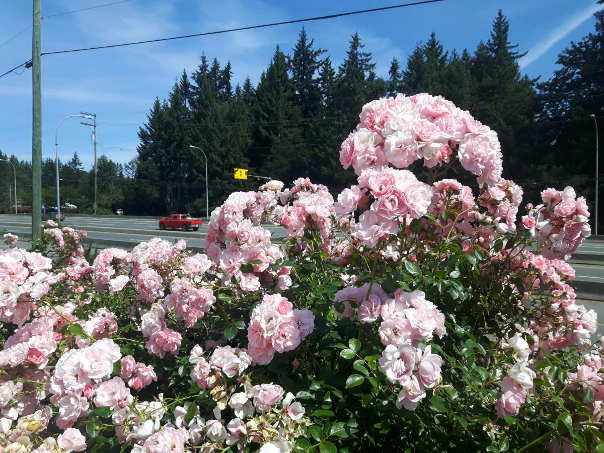 Fuller Lake Chemainus Motel المظهر الخارجي الصورة